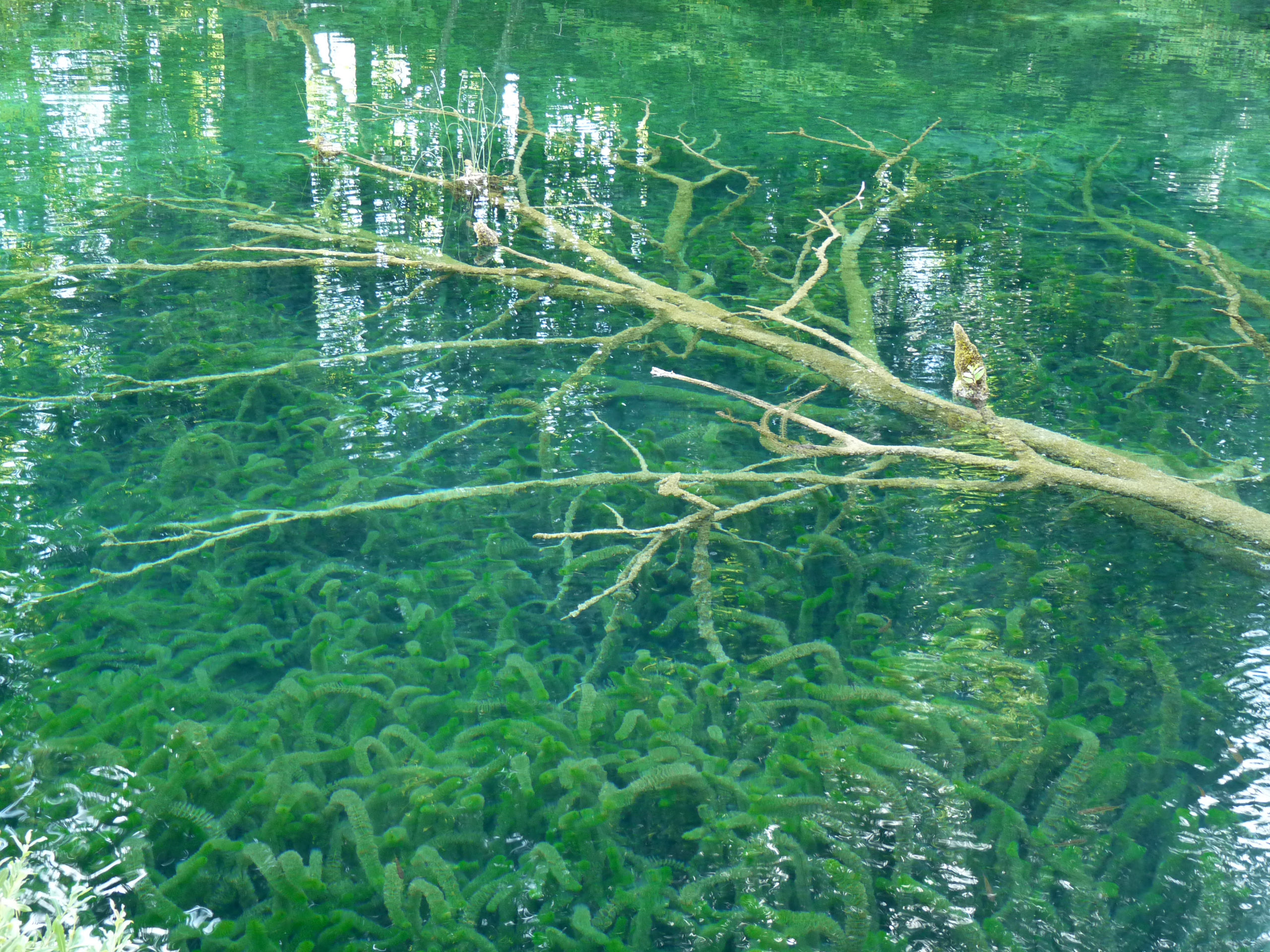 P1050670 bearbeitet 1