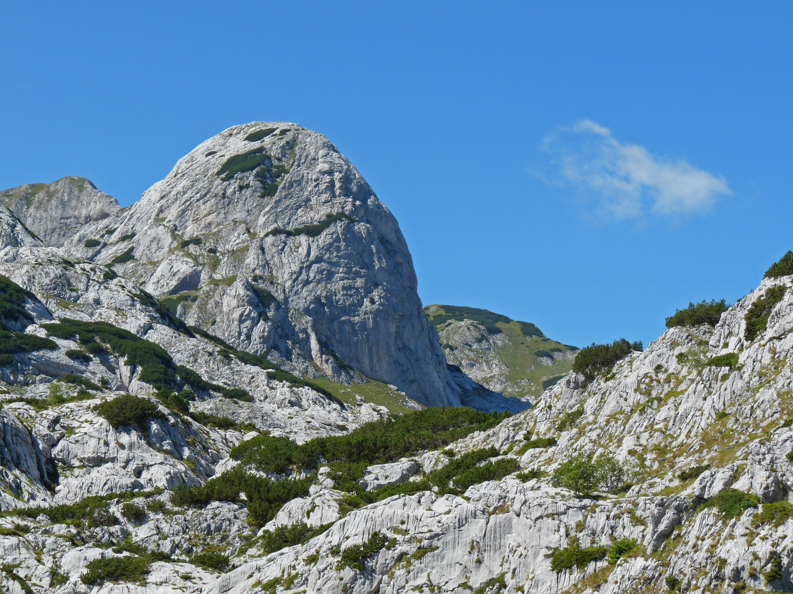 P1060133 bearbeitet 1