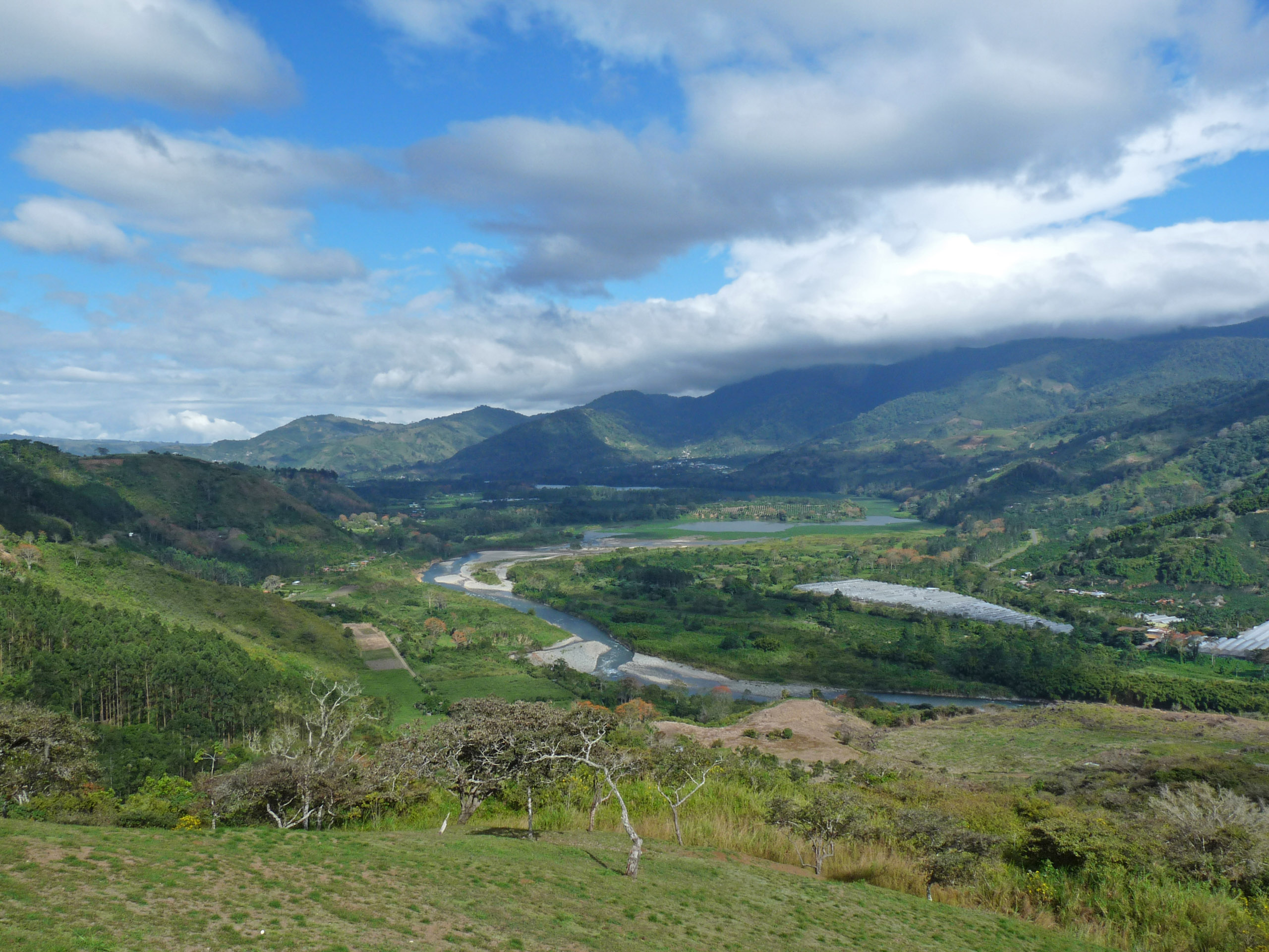 P1030981