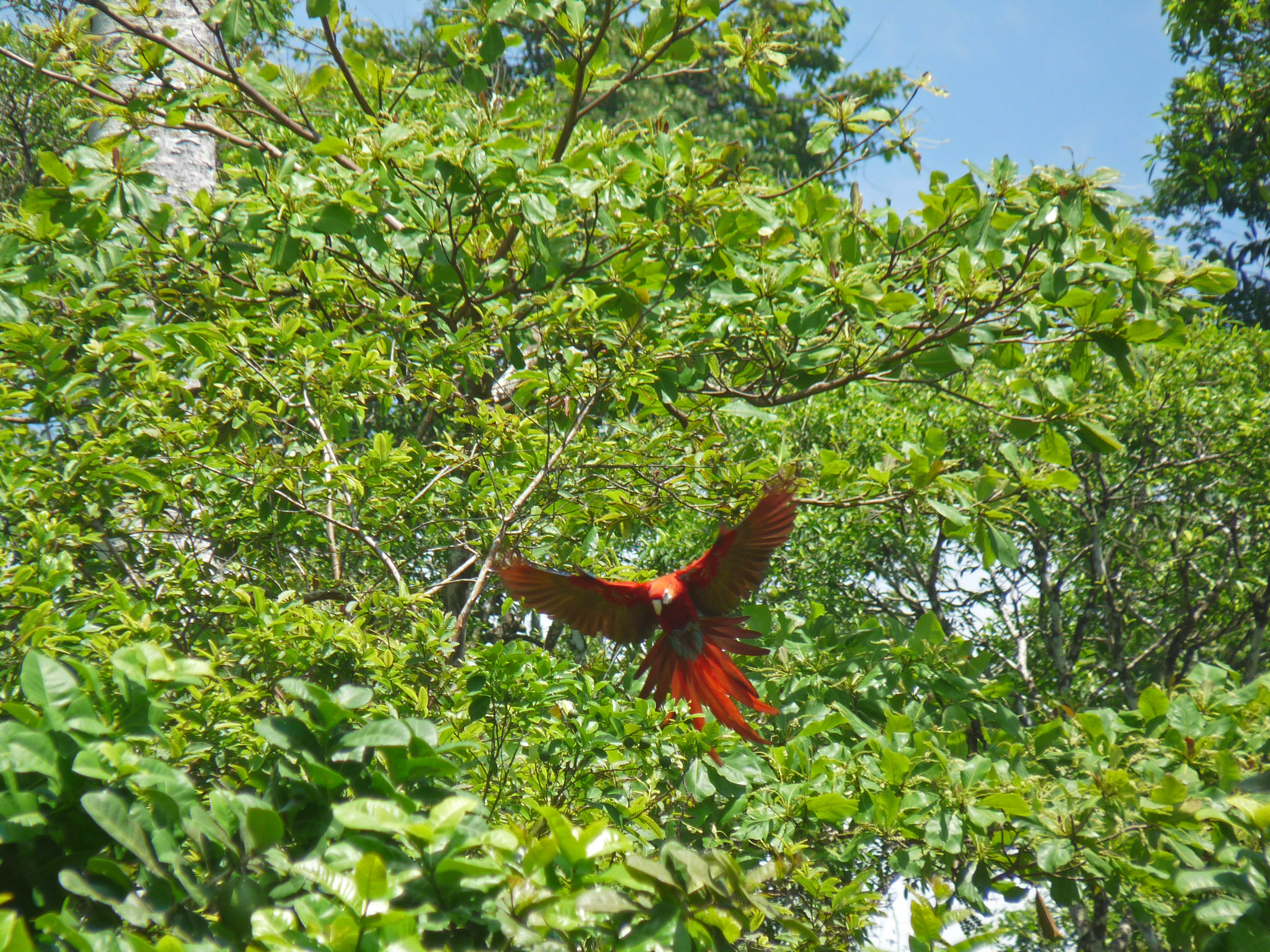 P1040181