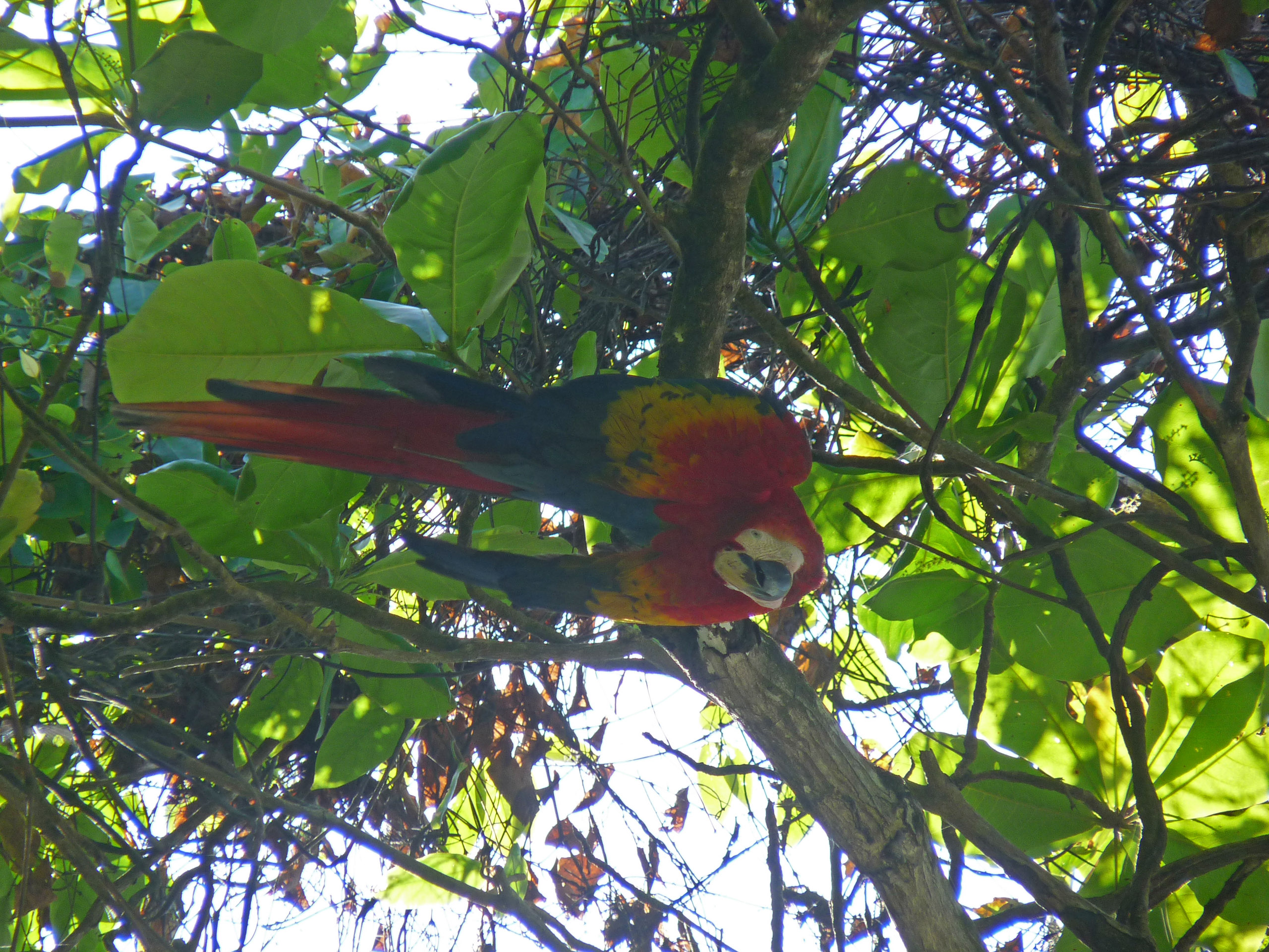 P1040230