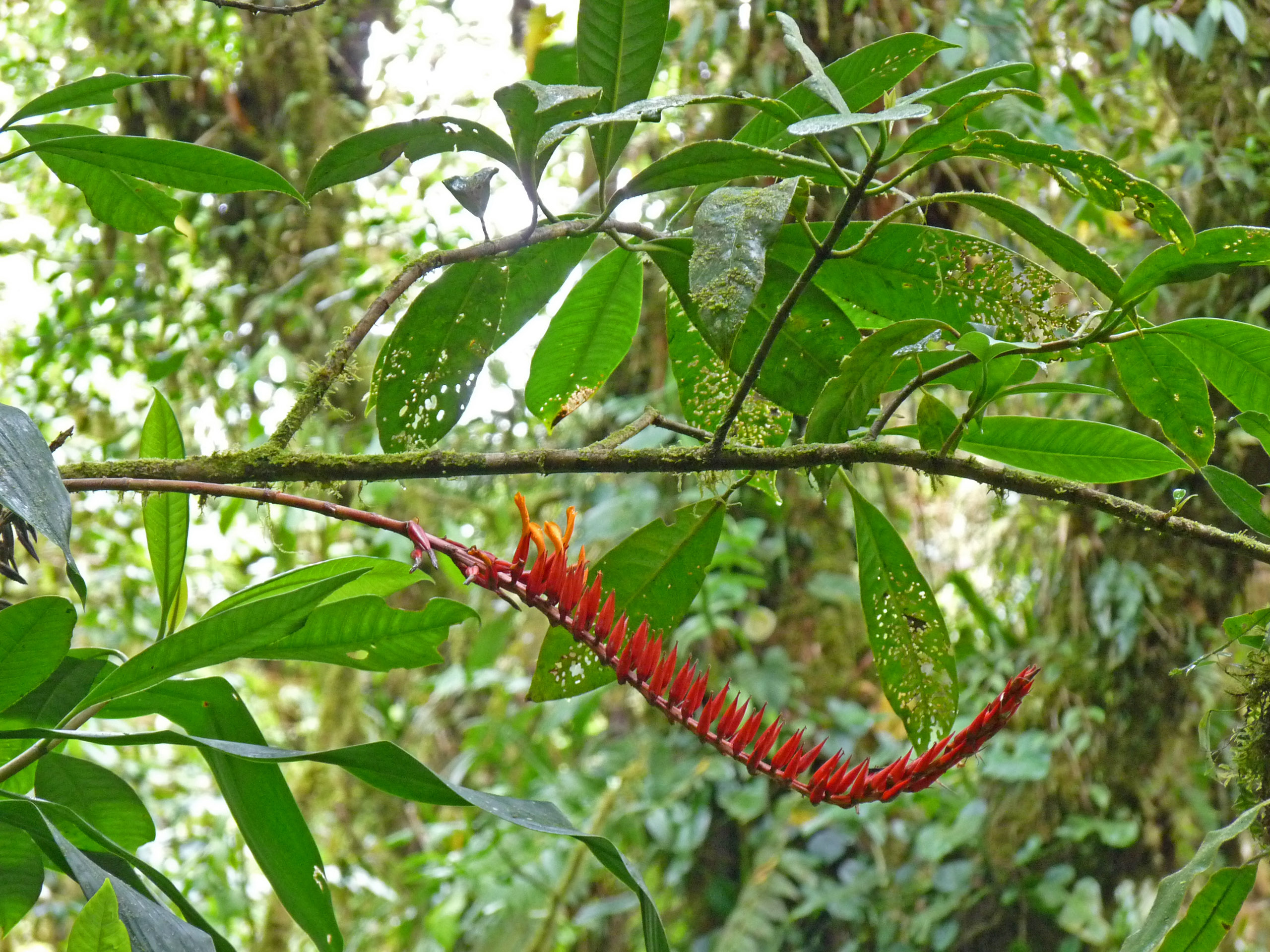 P1040952