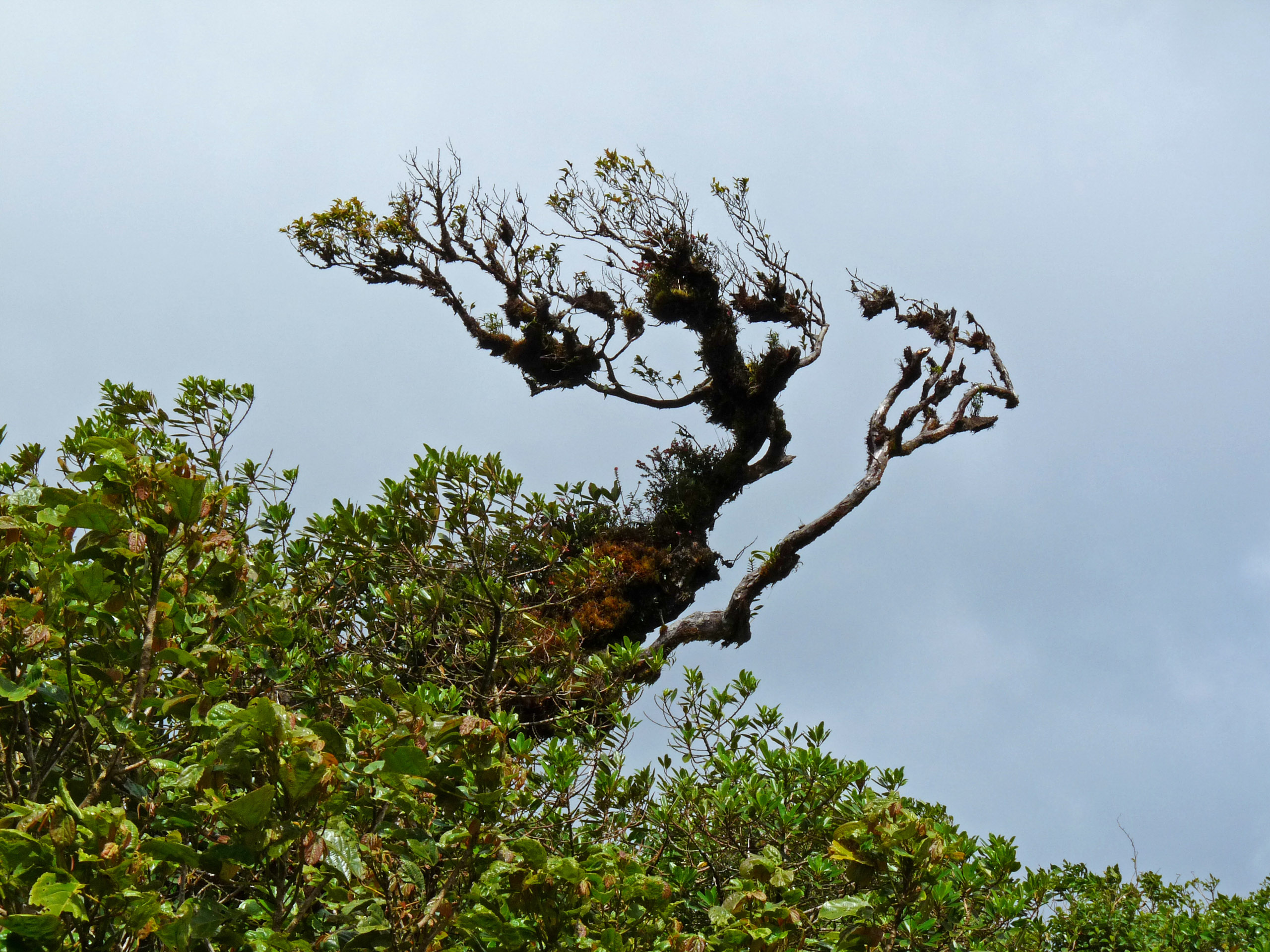 P1040985