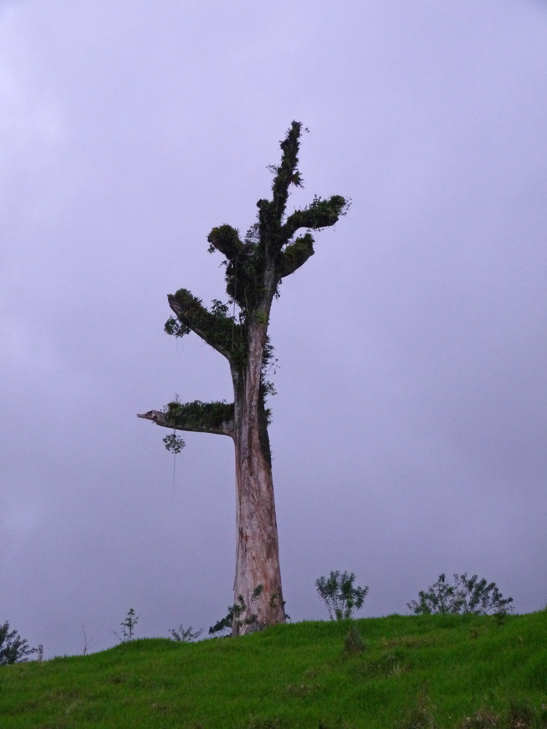 P1050352