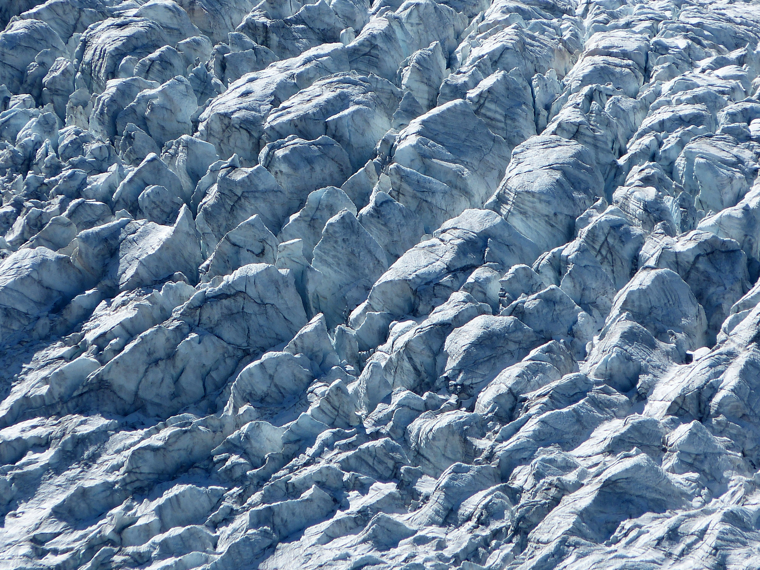 P1020200 bearbeitet 1