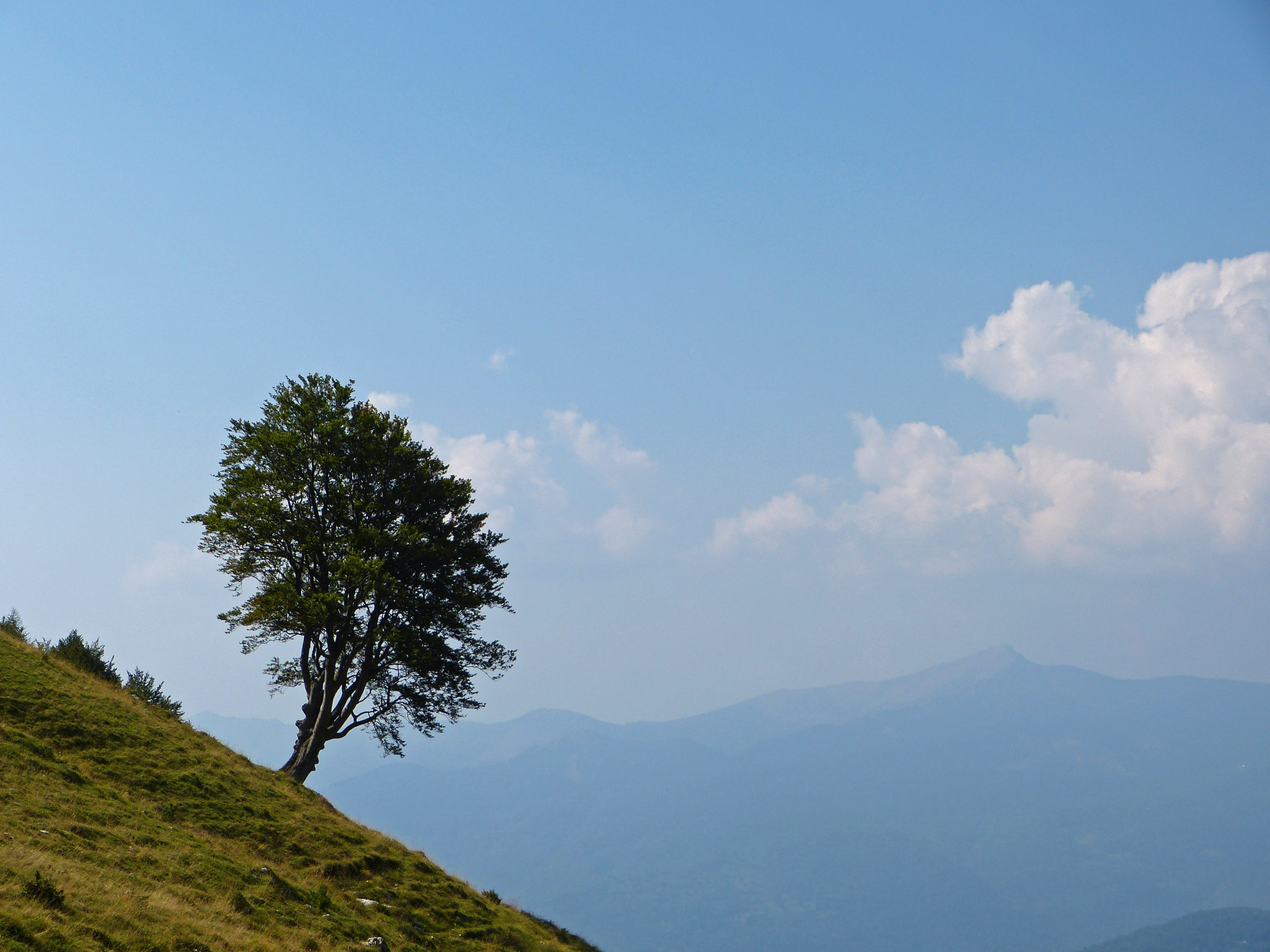 P1020334 bearbeitet 1