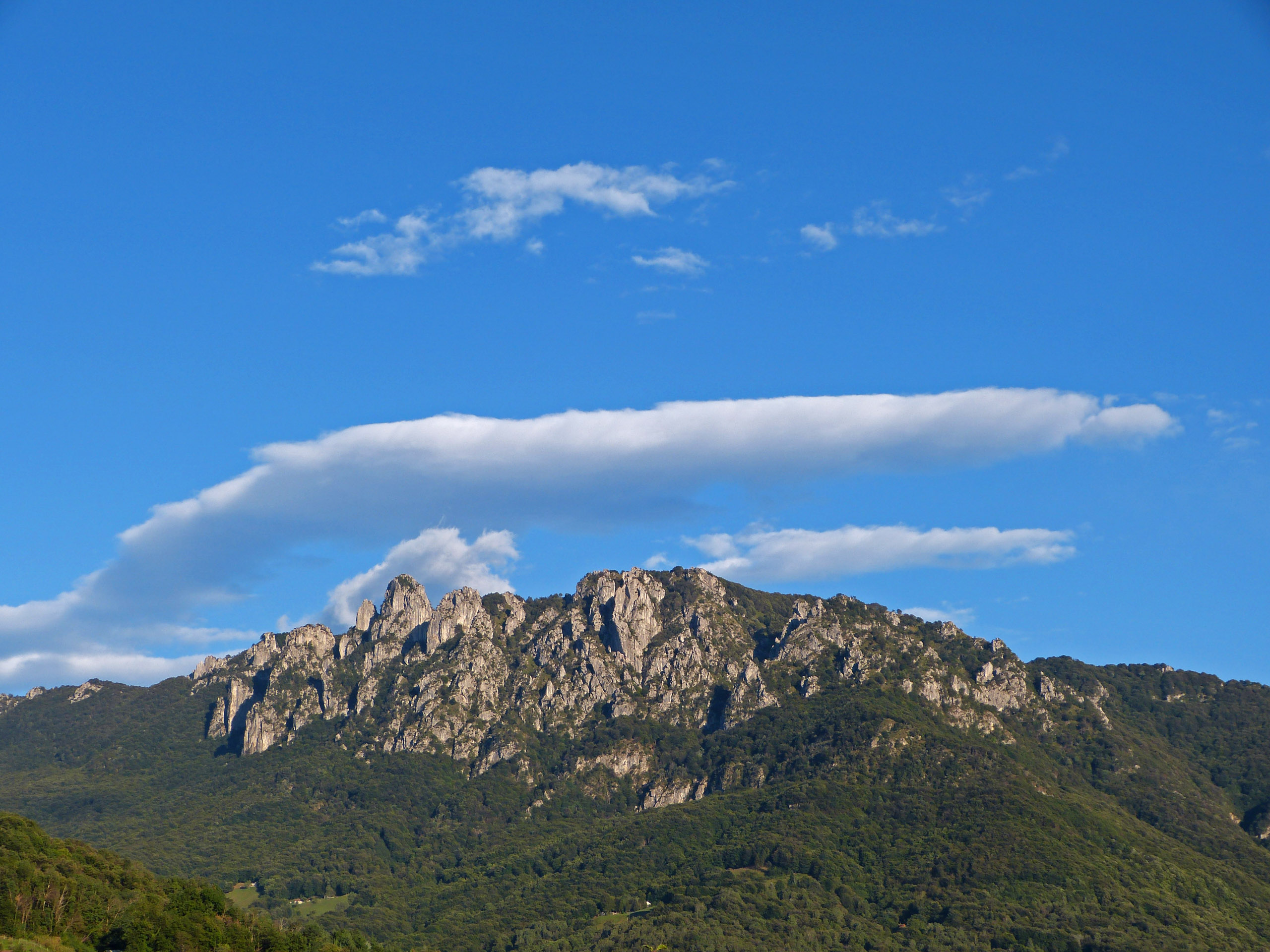 P1020429 bearbeitet 1